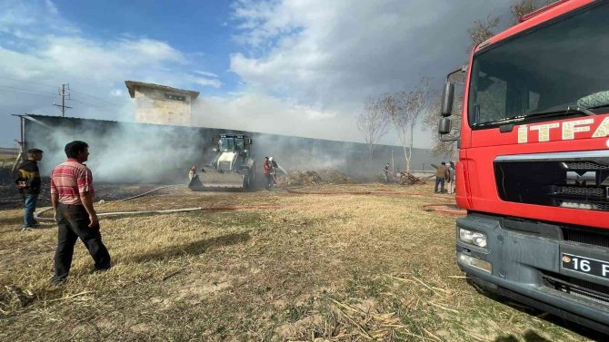 Bursa’da Ahırda Korkutan Yangın