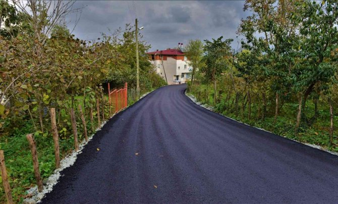 Altınordu’da Sıcak Asfalt Çalışmaları Sürüyor