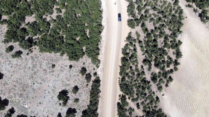 Özükavak Beldesinde 5 Kilometrelik Yayla Yolu Kullanıma Açıldı