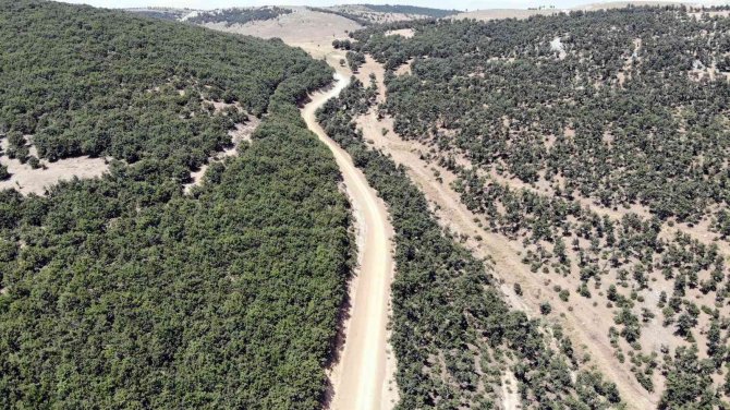 Özükavak Beldesinde 5 Kilometrelik Yayla Yolu Kullanıma Açıldı