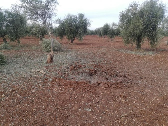 Roketin Düştüğü Zeytinlik Zarar Gördü