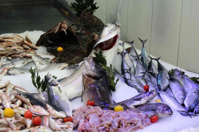 Bu Balık Tek Başına 2 Bin 100 Lira