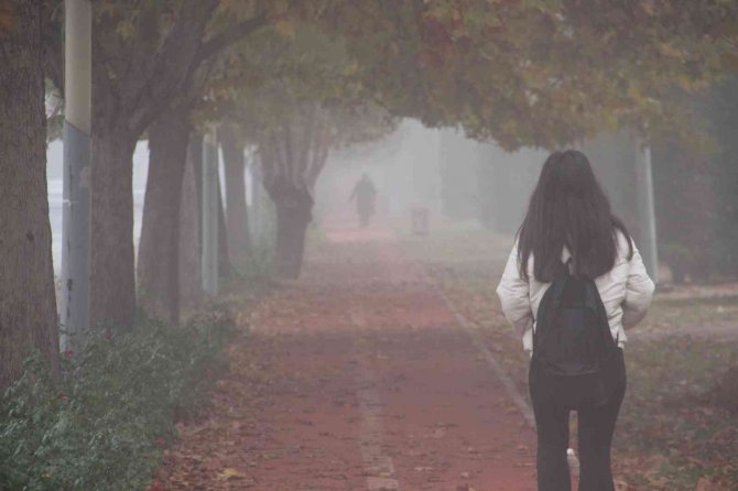 Elazığ’da Sis Etkili Oldu