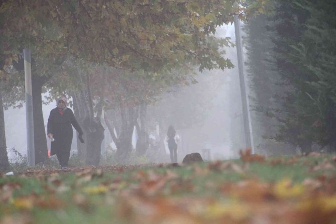 Elazığ’da Sis Etkili Oldu