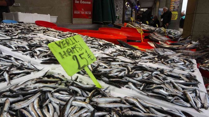 Hamsi Avı Bollaştı, Fiyatı Yarı Yarıya Düştü