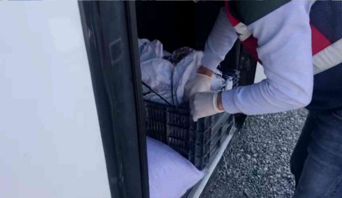 Iğdır’da Yolcu Otobüsünde Uyuşturucu Ele Geçirildi