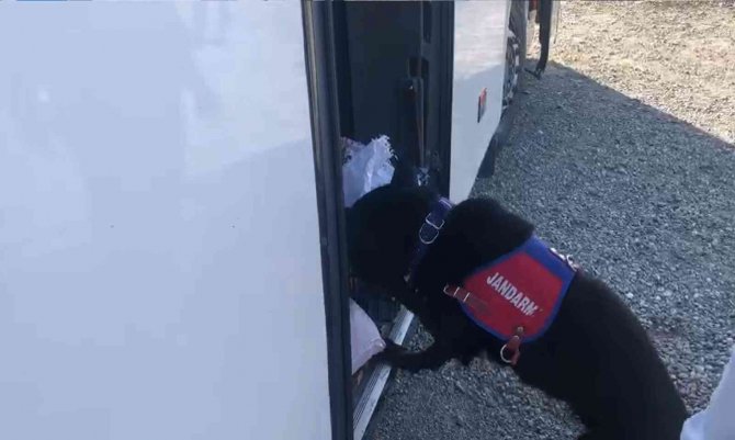 Iğdır’da Yolcu Otobüsünde Uyuşturucu Ele Geçirildi