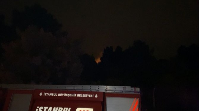 Kartal Aydos Ormanı’nda Çıkan Yangın Söndürüldü