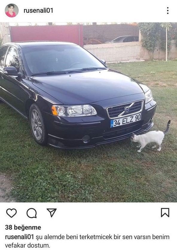Tır İle Çarpışan Otomobilin Sürücüsü Hayatını Kaybetti