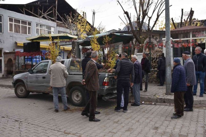 Bingöl’de Vatandaşlara 300 Adet Kayısı Fidesi Dağıtıldı