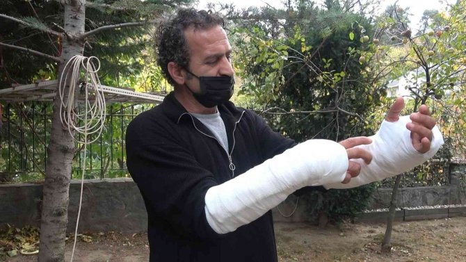 Pitbullu Saldırıya Uğradı...kolları Parçalandı, Ölümden Döndü