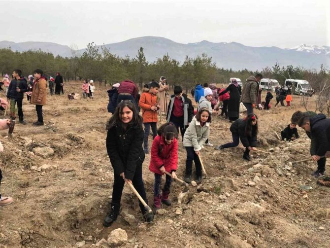 Minik Eller Fidanları Toprakla Buluşturuyor