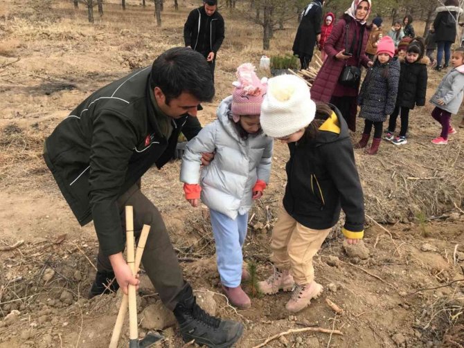 Minik Eller Fidanları Toprakla Buluşturuyor