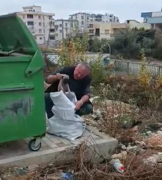 Çöpe Atılan Çuvaldan Yavru Köpekler Çıktı