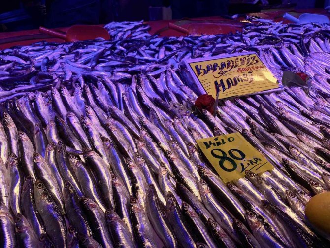 Hamsi Tezgâhları Şenlendirmeye Başladı