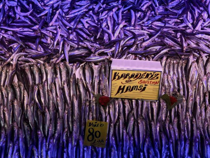 Hamsi Tezgâhları Şenlendirmeye Başladı