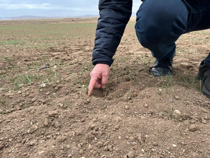 Çiftçi Can Suyu Bekliyor