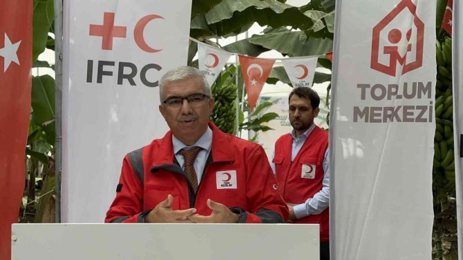 Kızılay, Reyhanlı’da “Muz Hasadı” Gerçekleştirdi
