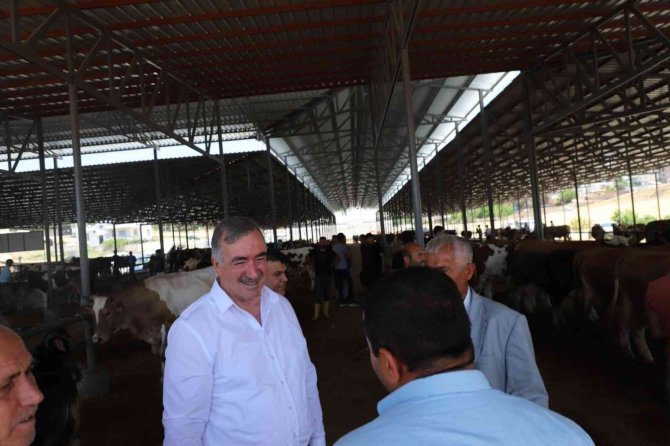 Kahta Hayvan Pazarı Şap Hastalığı Tedbirleri Çerçevesinde Kapatıldı