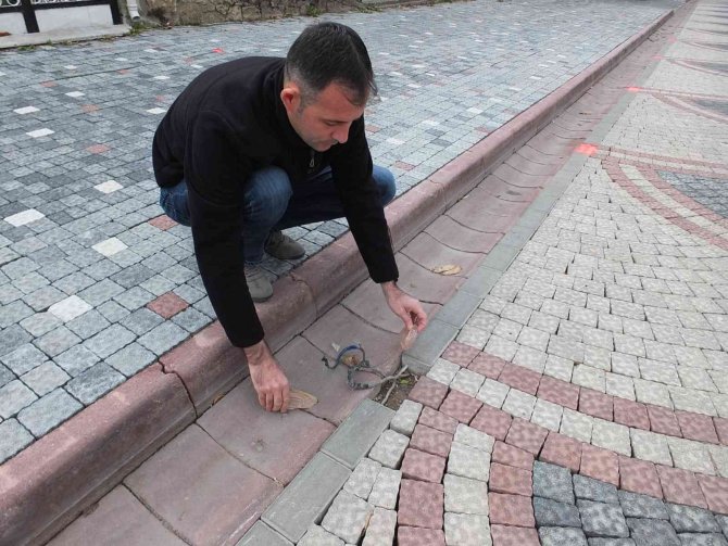 Burhaniye’de Şehir Magandaları Yol Aydınlatmalarına Zarar Veriyor