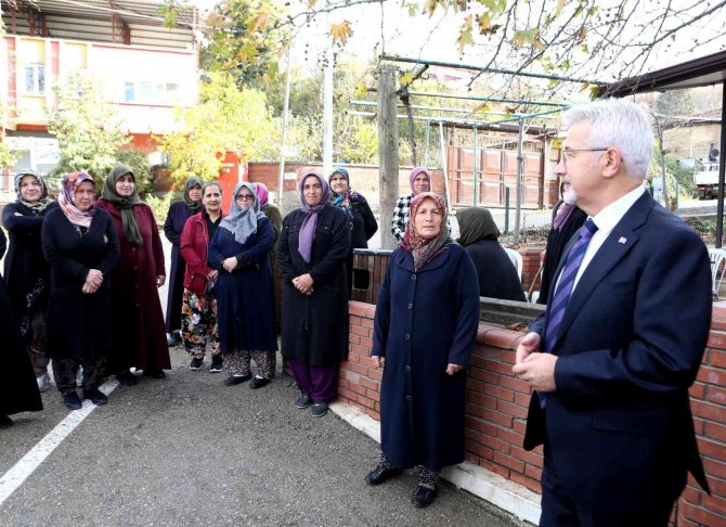 Nilüfer Belediyesi’nden Kadın Üreticilere 100 Bin Çilek Fidesi