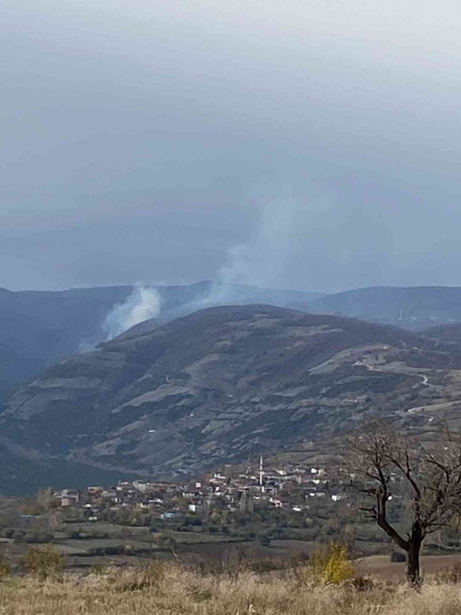 Tokat’ta Ormanlık Alanda Çıkan Yangın Korkuttu