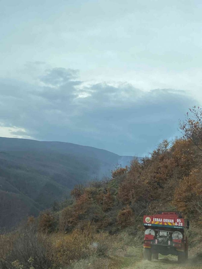 Tokat’ta Ormanlık Alanda Çıkan Yangın Korkuttu