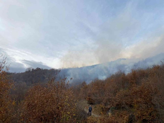Tokat’ta Ormanlık Alanda Çıkan Yangın Korkuttu