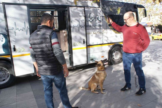 Vetbüs Can Dostlara Sağlık Hizmeti Sunuyor
