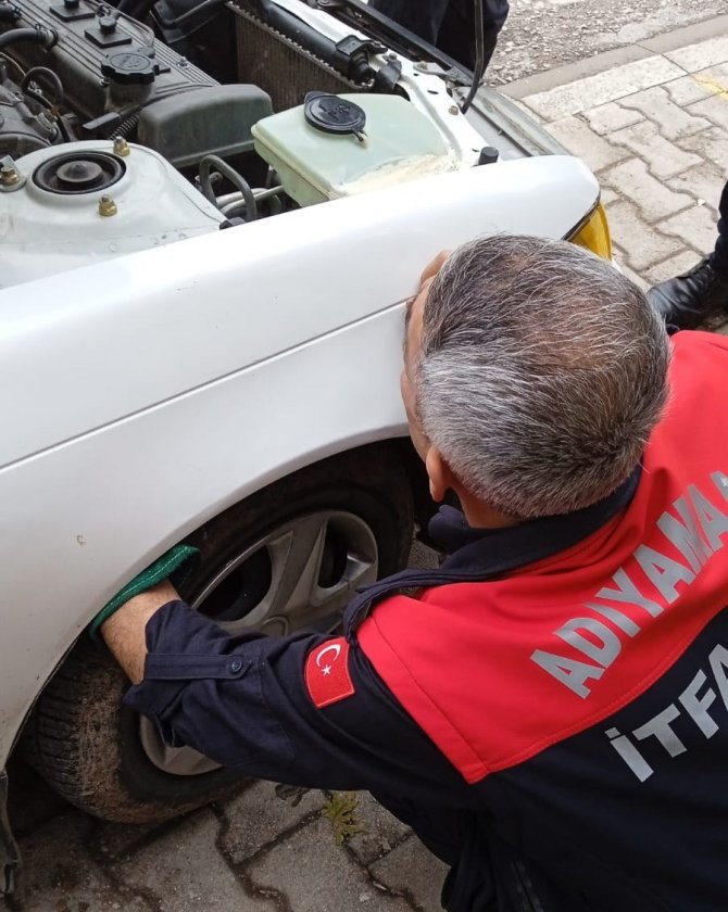 Aracın Motor Kısmına Sıkışan Kedi Kurtarıldı