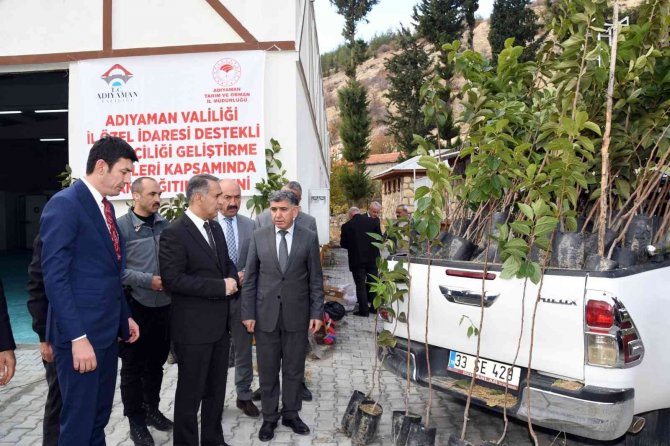 Adıyaman’da ’Cennet Hurması’ Hasadı Başladı