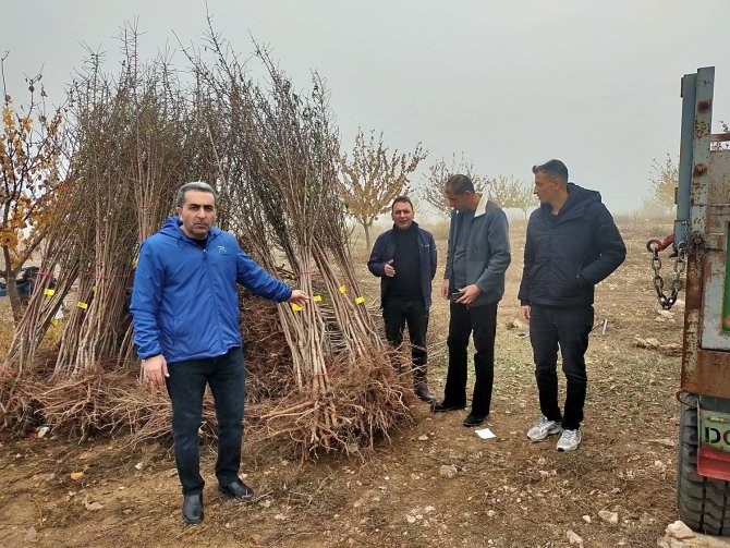 Akçadağ’da 540 Adet Sertifikalı Badem Fidanı Dağıtıldı