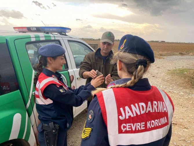 Kaçak Av Sonucu Yaralanan Kumruyu Jandarma Kurtardı