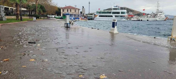 Erdek’te Lodosta Deniz Anaları Sahile Vurdu