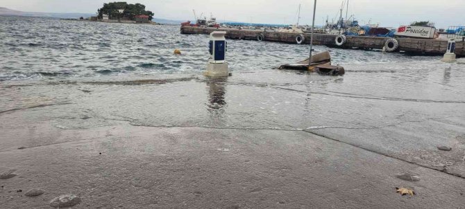 Erdek’te Lodosta Deniz Anaları Sahile Vurdu
