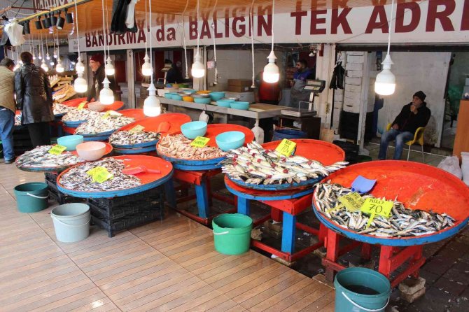 Bandırma’da Balık Fiyatları Lodos Ve Soğuk Hava Nedeniyle Yükseldi