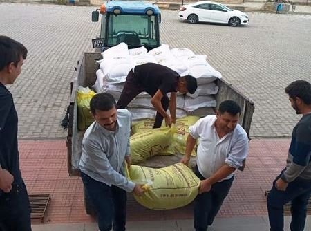 Çavdarhisar’da Öğrenciler Okula Ait 100 Dekar Alana 2 Ton Buğday Ekti