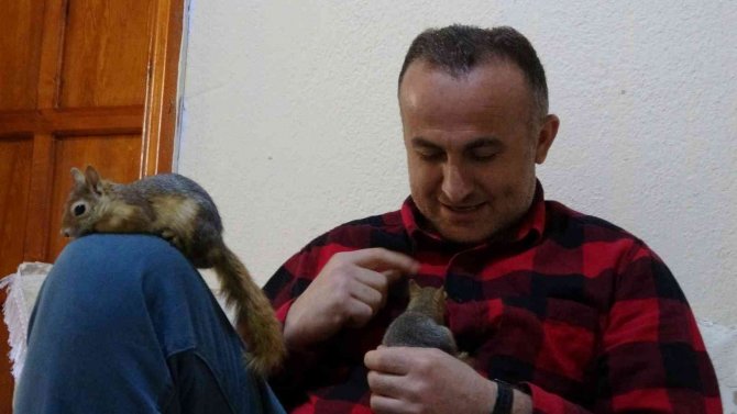 Köy Okulu Öğretmeni Beslediği Sincaplara Çocuğu Gibi Bakıyor