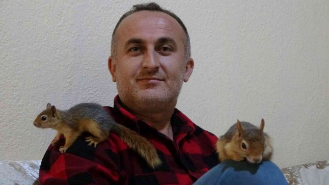 Köy Okulu Öğretmeni Beslediği Sincaplara Çocuğu Gibi Bakıyor