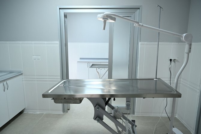 Kartepe’nin Sokak Hayvanları Artık Emin Ellerde Olacak