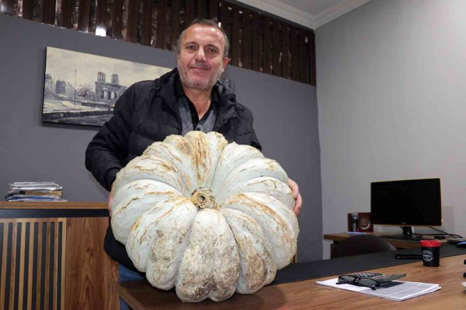 Gençlere Örnek Olmak İçin Kabak Ekti 200 Bin Tl Gelir Elde Etti