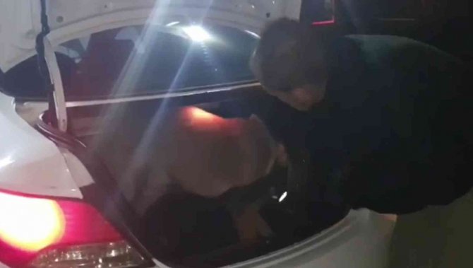 Araca Zulalanmış 2 Kilo Uyuşturucuyu Narkotik Köpeği Buldu