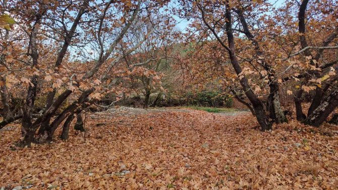 Gördes’te Sonbahar Manzaraları Mest Etti