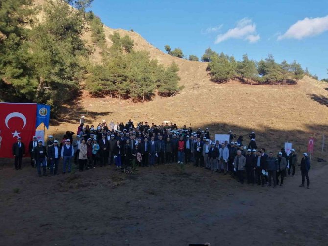 Salihli’de Öğretmenler Günü Ağaç Dikme Etkinliği Düzenlendi