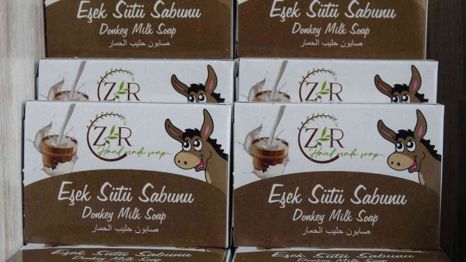 Çırak Olarak Başladılar, Şimdi Ürünlerini Avrupa’ya İhraç Ediyorlar