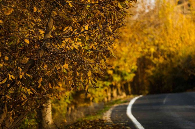 Mardin’de Sonbahar Görsel Şöleni