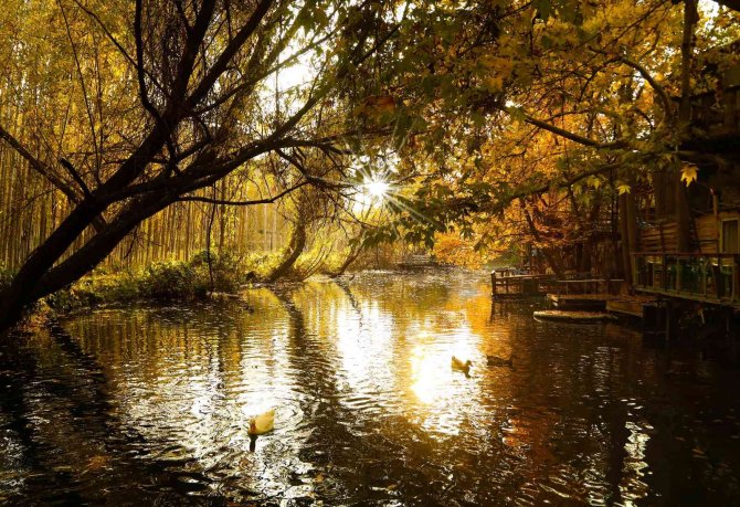 Mardin’de Sonbahar Görsel Şöleni