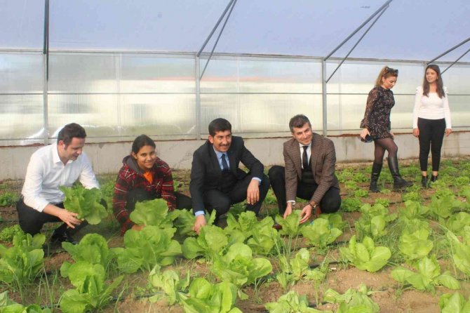 Milli Eğitim Müdürü Çay, Köyceğiz’de Tarım Uygulamalarına Katıldı