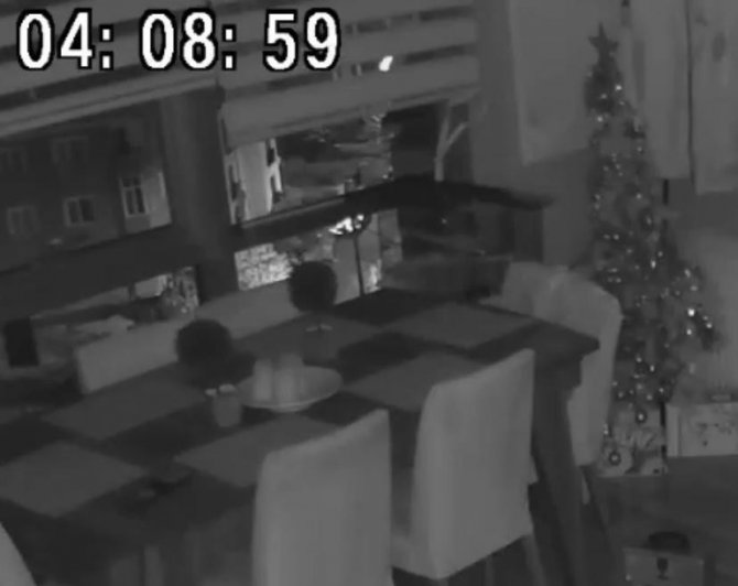 Pendik’te Depremi Papağan Böyle Hissetti