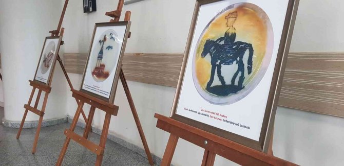 Bu Sergide Bakteriden Resimler Yer Alıyor